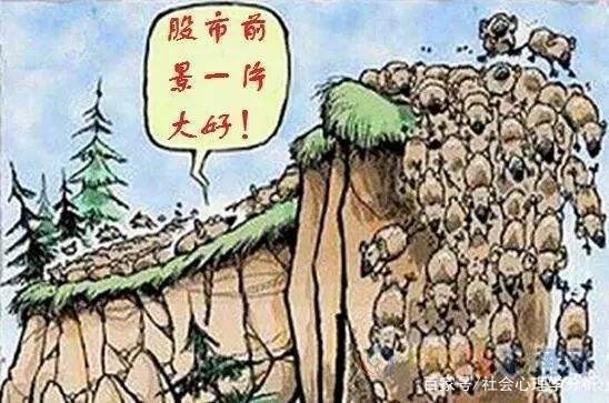 南美洲觀賞魚圖片高清大全圖(南美魚種類圖片大全)