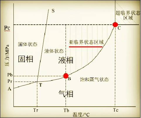 過背金龍魚一年可以長多大的魚呢：過背金龍魚一年內(nèi)可以長多大