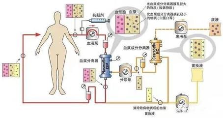 魟魚有毒怎么養殖的視頻：如何養殖有毒的魟魚