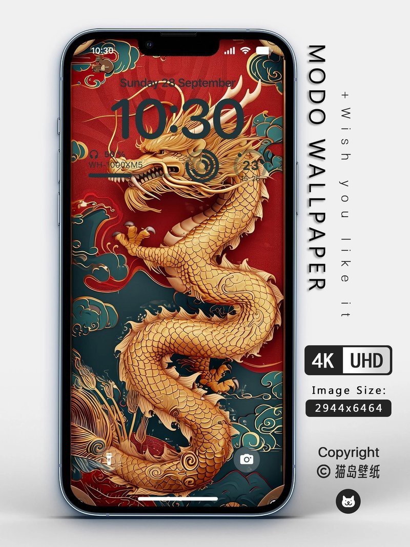 金龍頭像圖片有哪些尺寸|金龍頭像圖片常見尺寸包括：其他尺寸可能通過第三方工具調整生成 金龍頭像圖片有哪些尺寸|金龍頭像圖片常見尺寸包括：其他尺寸可能通過第三方工具調整生成 龍魚論壇 第2張
