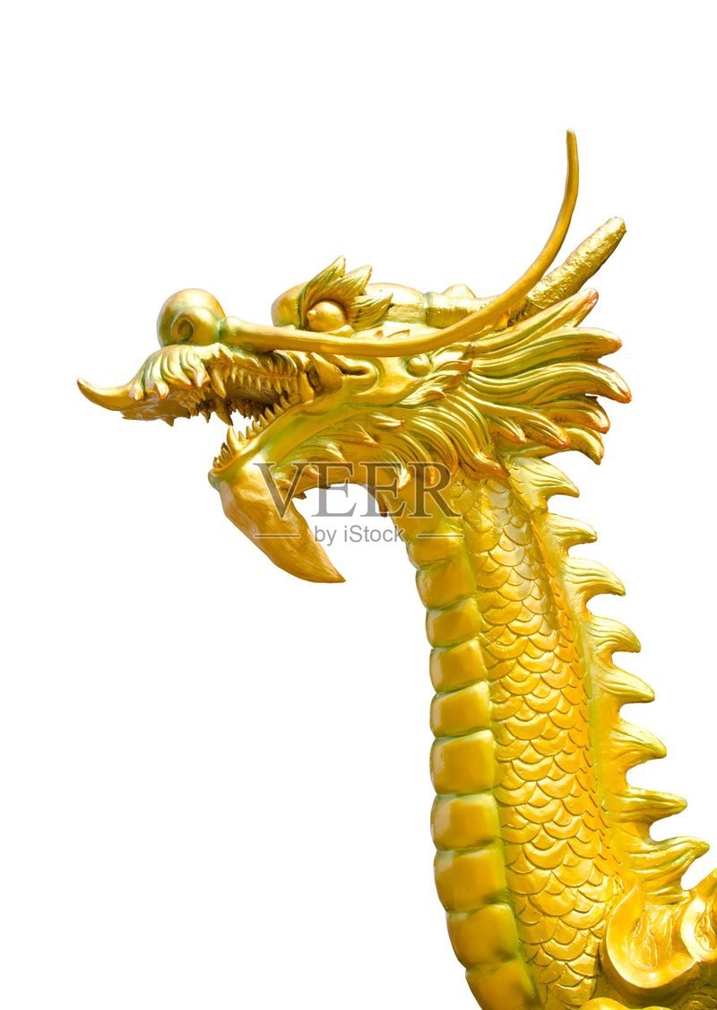 金龍頭像圖片有哪些尺寸|金龍頭像圖片常見尺寸包括：其他尺寸可能通過第三方工具調整生成 金龍頭像圖片有哪些尺寸|金龍頭像圖片常見尺寸包括：其他尺寸可能通過第三方工具調整生成 龍魚論壇 第4張