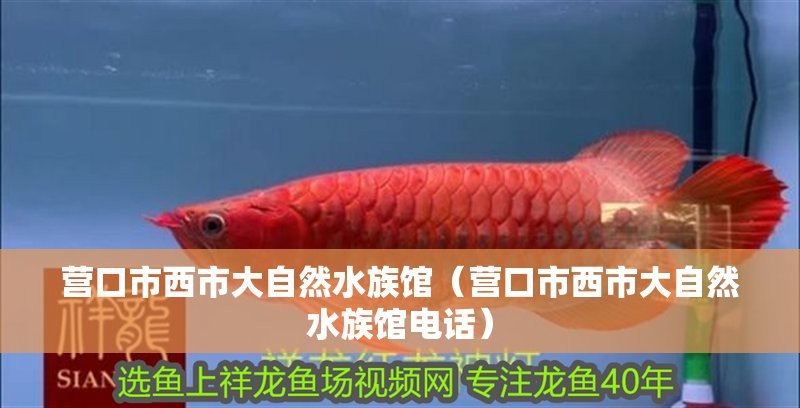 營口水族店|愛企查營口水族店