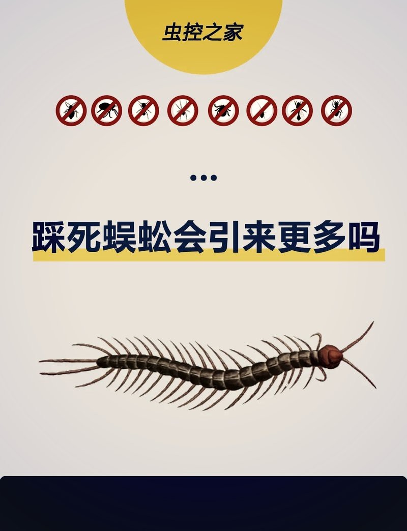 蜈蚣為什么不能打死|關于蜈蚣不宜直接打死的原因，科學解釋、生態影響及安全考量