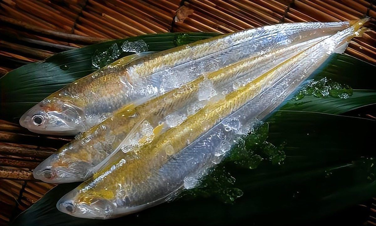 十大品牌魚價格對比|2025年國內最貴十大淡水魚排行榜京東馬鮫魚新鮮品牌排行榜