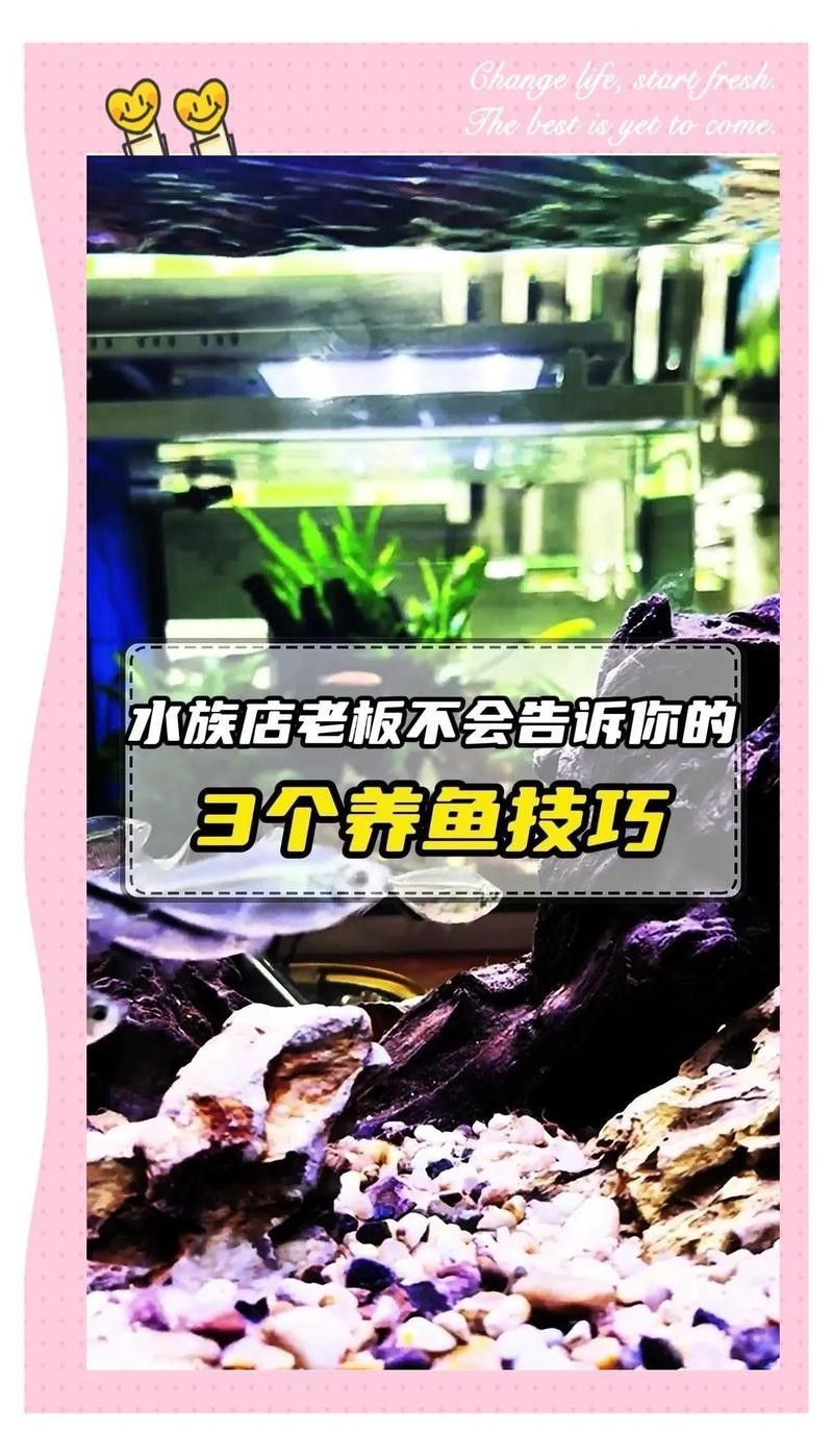 昌寧水族店，保山市昌寧縣田園鎮我愛觀賞魚水族館 昌寧水族店，保山市昌寧縣田園鎮我愛觀賞魚水族館 全國水族館企業名錄 第3張