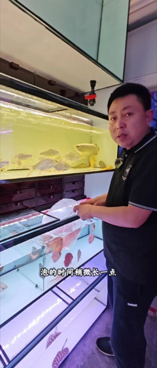 可麗愛魚缸安裝圖解|可麗愛魚缸如何安裝