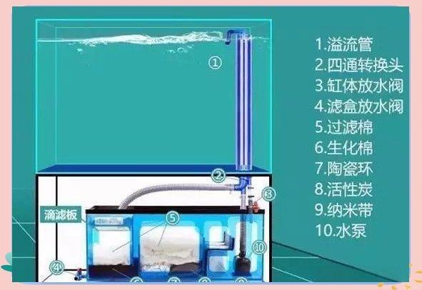 可麗愛魚缸安裝圖解|可麗愛魚缸如何安裝