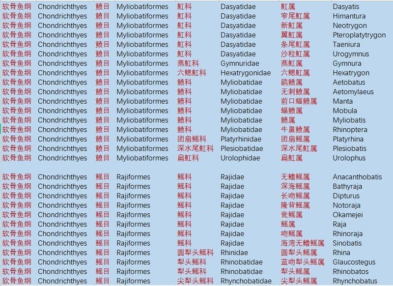 魔鬼魚是電鰩魚嗎?,海洋中究竟誰才是“魔鬼魚”蝠鲼、鰩魚、鰩魚傻傻分不清楚 龍魚百科 第3張 魔鬼魚是電鰩魚嗎?,海洋中究竟誰才是“魔鬼魚”蝠鲼、鰩魚、鰩魚傻傻分不清楚 魔鬼魚是電鰩魚嗎?,海洋中究竟誰才是“魔鬼魚”蝠鲼、鰩魚、鰩魚傻傻分不清楚 龍魚百科 第3張