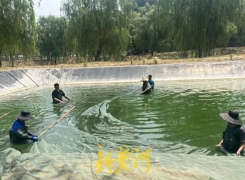 長(zhǎng)清龍魚店|長(zhǎng)清這家魚館讓我欲罷不能,讓我欲罷不能覆蓋民生全維度