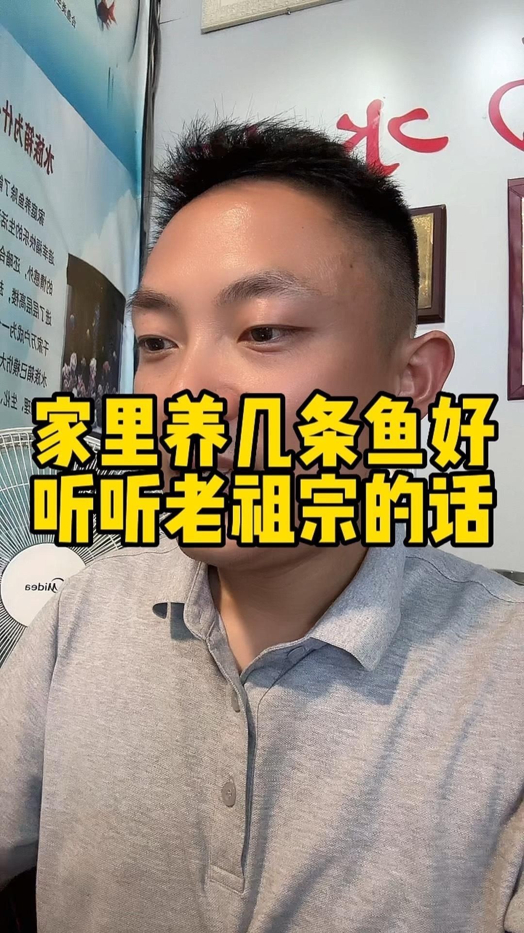 一般養魚幾條吉利|養幾條魚可以旺財