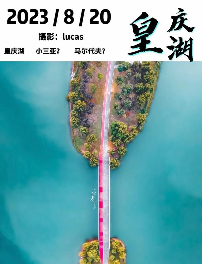 滁州水族店|關于滁州水族店的綜合信息整理
