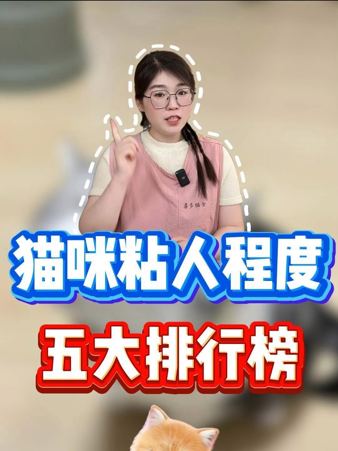 龍貓和貓哪個更粘人？|貓咪粘人程度大揭秘,你家貓是幾級