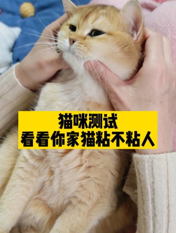 能否提供帝龍漁業(yè)的龍魚繁殖視頻，關(guān)于帝龍漁業(yè)的龍魚繁殖視頻 能否提供帝龍漁業(yè)的龍魚繁殖視頻，關(guān)于帝龍漁業(yè)的龍魚繁殖視頻 龍魚百科 第1張