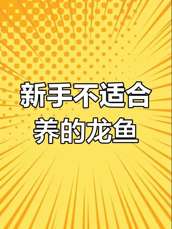 星點龍魚飼養難度如何？|澳洲星點龍好養嗎,怎么養