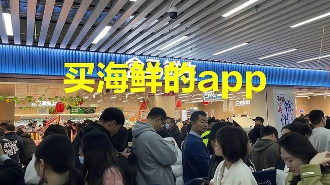 哪個平臺買海鮮比較好|買海鮮哪個平臺便宜又新鮮 哪個平臺買海鮮比較好|買海鮮哪個平臺便宜又新鮮 龍魚百科 第4張