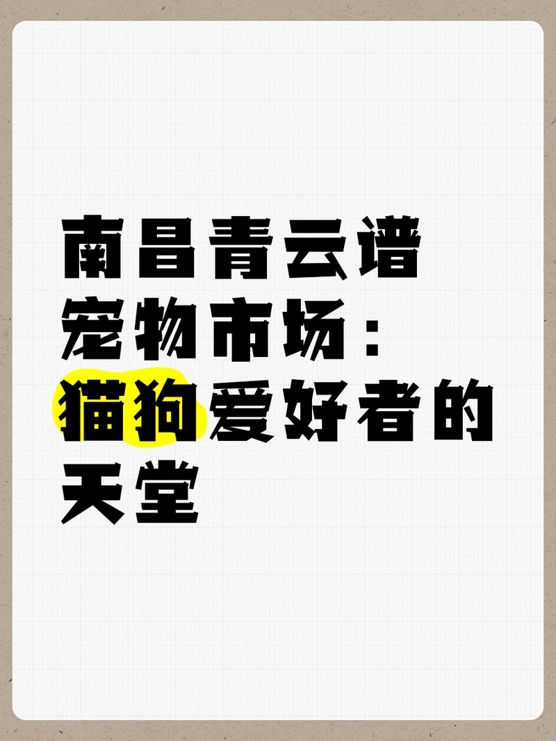 青云譜水族店|樂彩水族經營部青云譜區