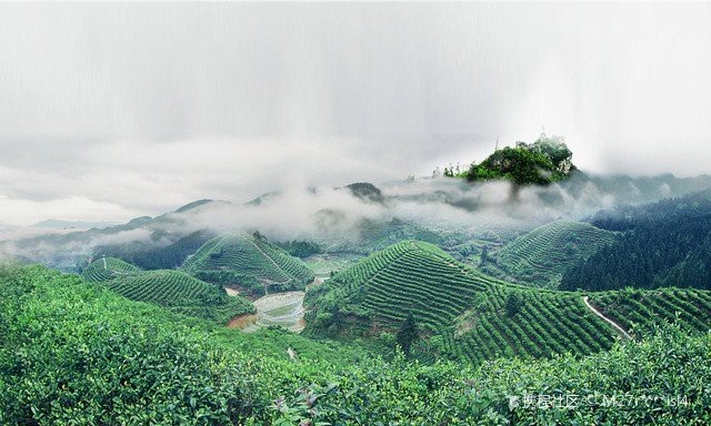 遂川水族店|遂川縣水族店相關信息主要集中在以下幾家店鋪結合經營狀態(tài)與特色為您梳理