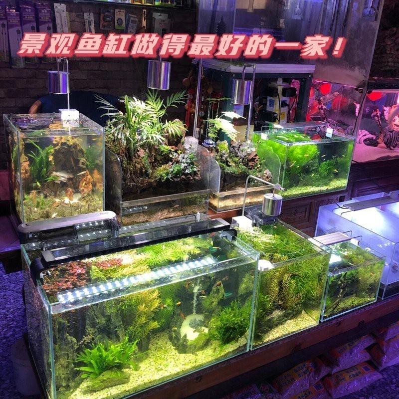 山西水族店|太原親子海洋館top2