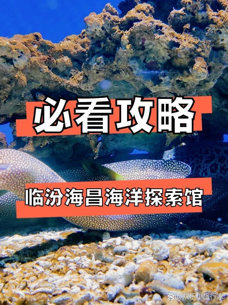 山西水族店|太原親子海洋館top2