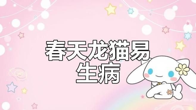 龍貓有哪些常見的疾病？|智能模式回答完成調用工具：百度健康龍貓患上常見疾病