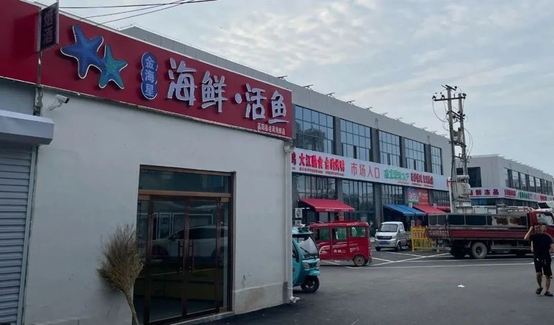 高陽龍魚店|高陽地區(qū)未來會有龍魚店嗎高陽金星海鮮店是否有龍魚店
