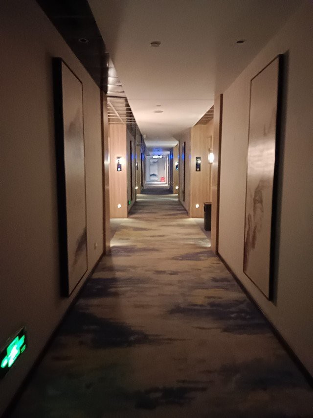 沁水龍魚店|政錫龍魚,聚龍灣龍魚(廣州店) 沁水龍魚店|政錫龍魚,聚龍灣龍魚(廣州店) 全國水族館企業(yè)名錄 第6張