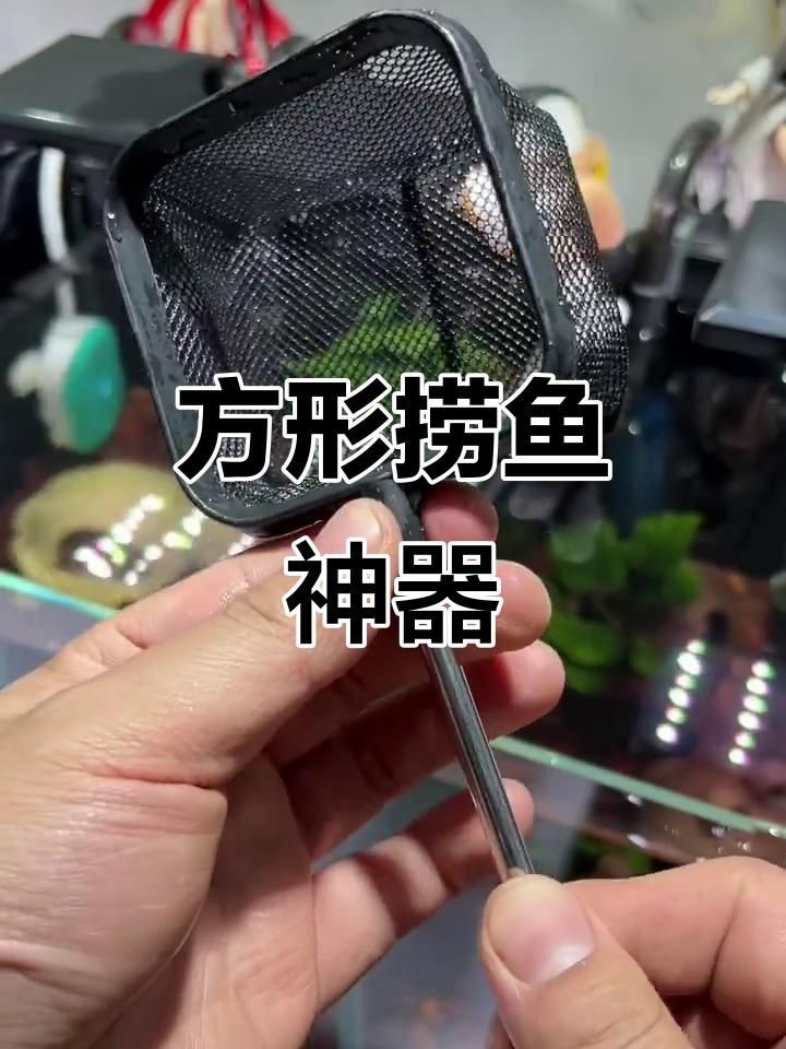 撈魚抄網(wǎng)兜|撈魚抄網(wǎng)兜是一種常見的漁具