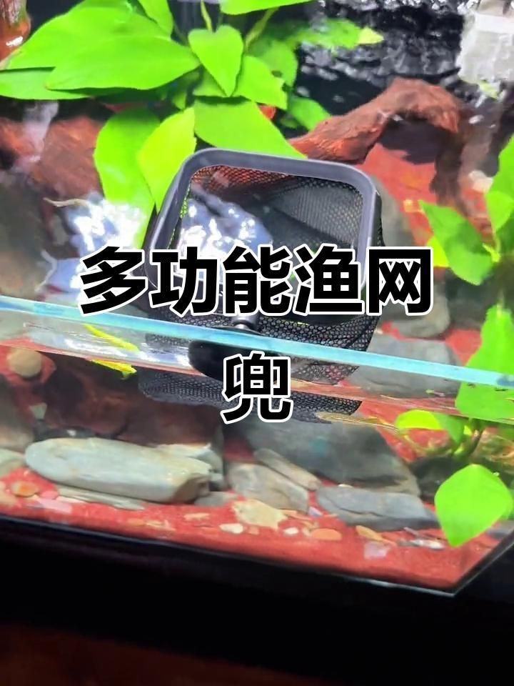 撈魚抄網(wǎng)兜|撈魚抄網(wǎng)兜是一種常見的漁具