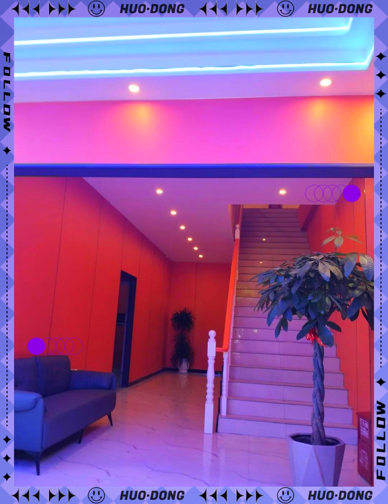阜寧龍魚店|阜寧上海路的秘密寶藏，你去過嗎
