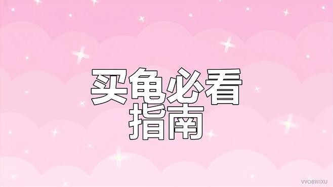 龍龜材質如何選擇？|如何挑選和田玉龍龜