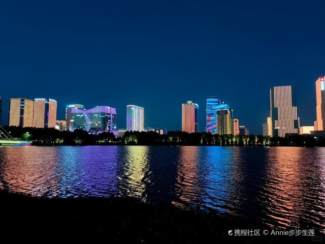 龍子湖水族店|龍子湖周邊兩家水族店哪家更受歡迎