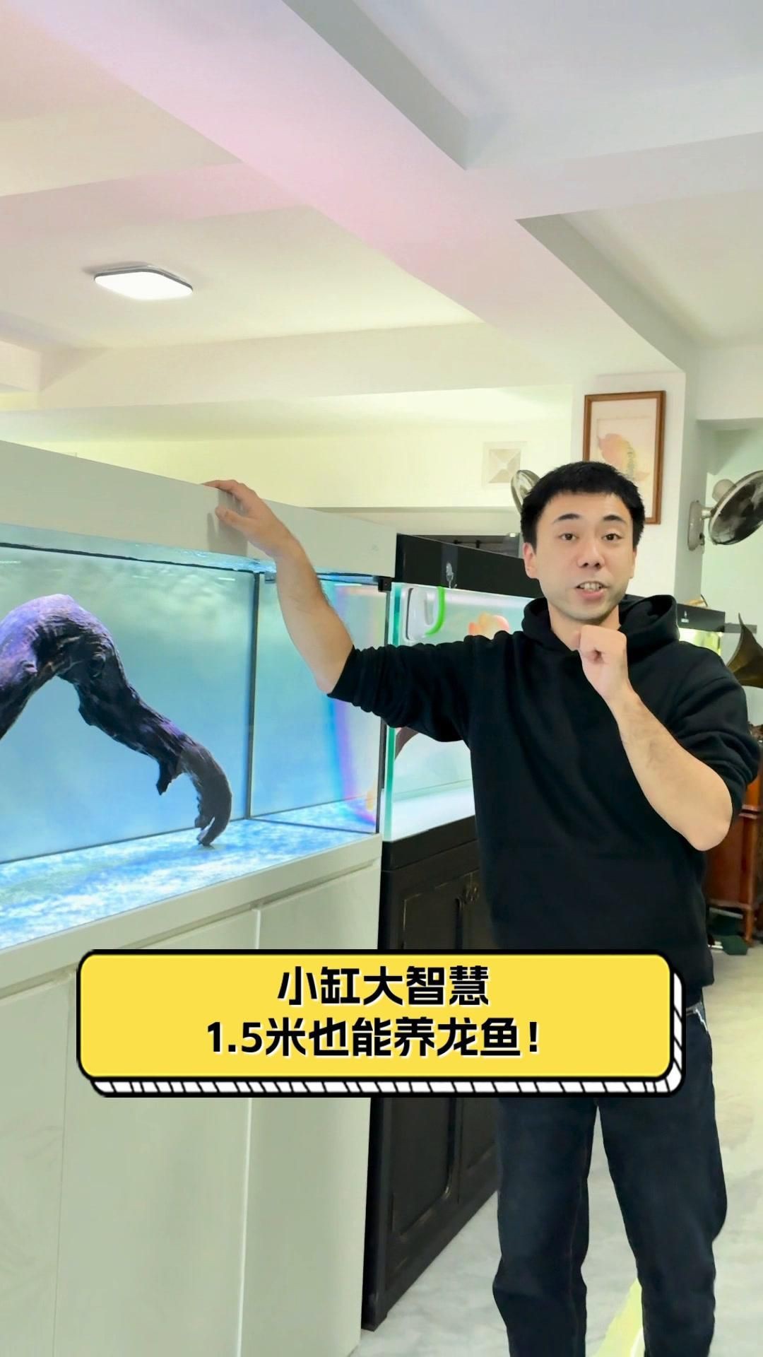 龍魚養殖需要哪些設備？|20多萬的龍魚