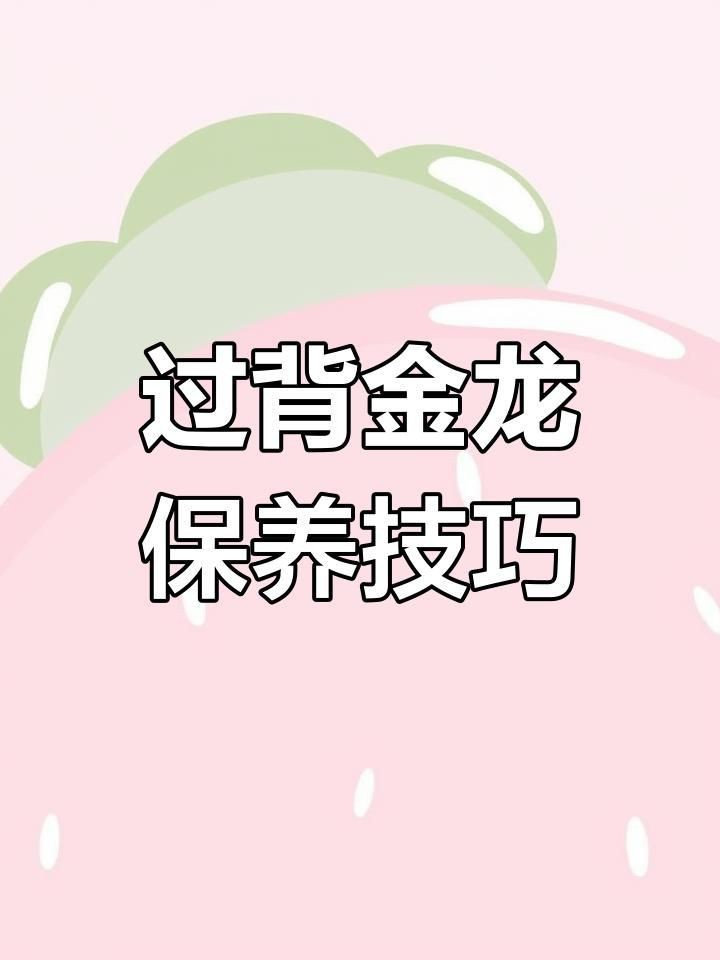 過(guò)背金龍金頭表現(xiàn)如何改善？|如何保持過(guò)背金龍魚的金色光澤 過(guò)背金龍金頭表現(xiàn)如何改善？|如何保持過(guò)背金龍魚的金色光澤 龍魚百科 第4張