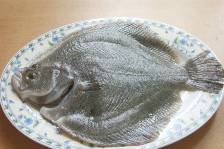 多寶魚為啥叫多寶魚|人們熟悉的“多寶魚”原產(chǎn)于我國(guó)嗎