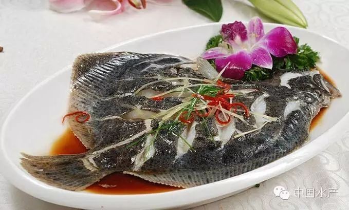 多寶魚為啥叫多寶魚|人們熟悉的“多寶魚”原產(chǎn)于我國(guó)嗎