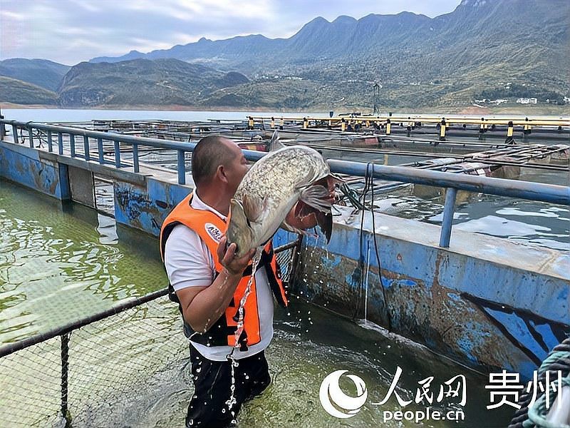 晴隆水族店|晴隆縣自然道水族館 全國水族館企業名錄 第1張 晴隆水族店|晴隆縣自然道水族館 晴隆水族店|晴隆縣自然道水族館 全國水族館企業名錄 第1張