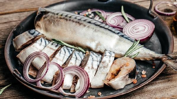多寶魚屬于淡水魚還是海魚|多寶魚是海魚還是淡水魚 多寶魚屬于淡水魚還是海魚|多寶魚是海魚還是淡水魚 龍魚論壇 第5張