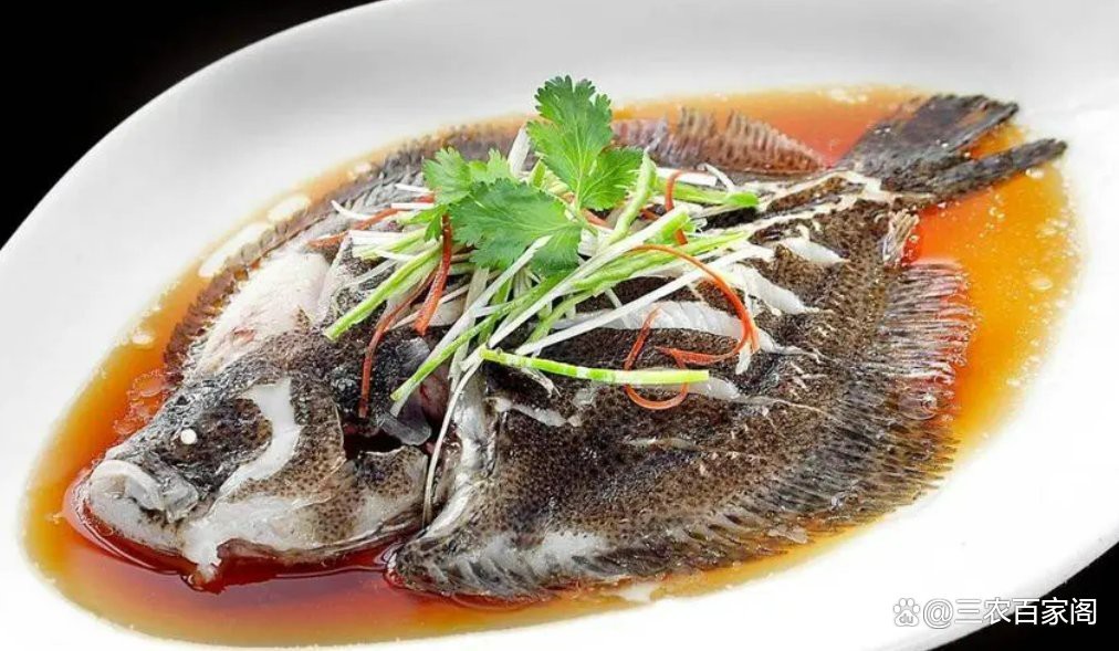 多寶魚屬于淡水魚還是海魚|多寶魚是海魚還是淡水魚 多寶魚屬于淡水魚還是海魚|多寶魚是海魚還是淡水魚 龍魚論壇 第10張