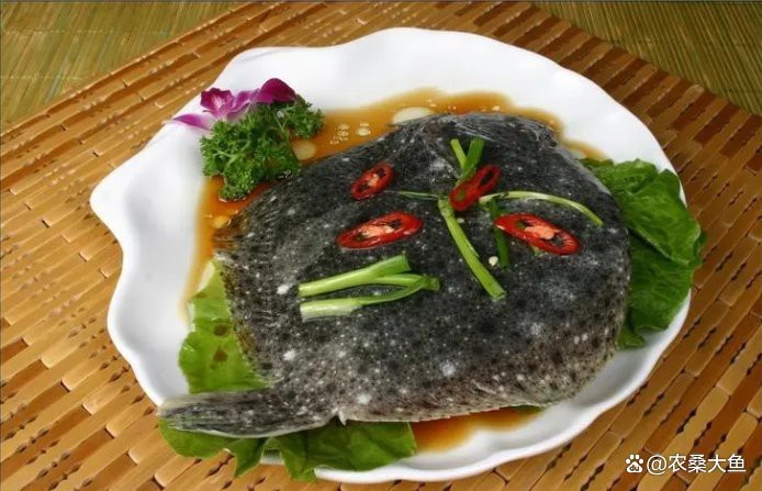 多寶魚屬于淡水魚還是海魚|多寶魚是海魚還是淡水魚 多寶魚屬于淡水魚還是海魚|多寶魚是海魚還是淡水魚 龍魚論壇 第8張