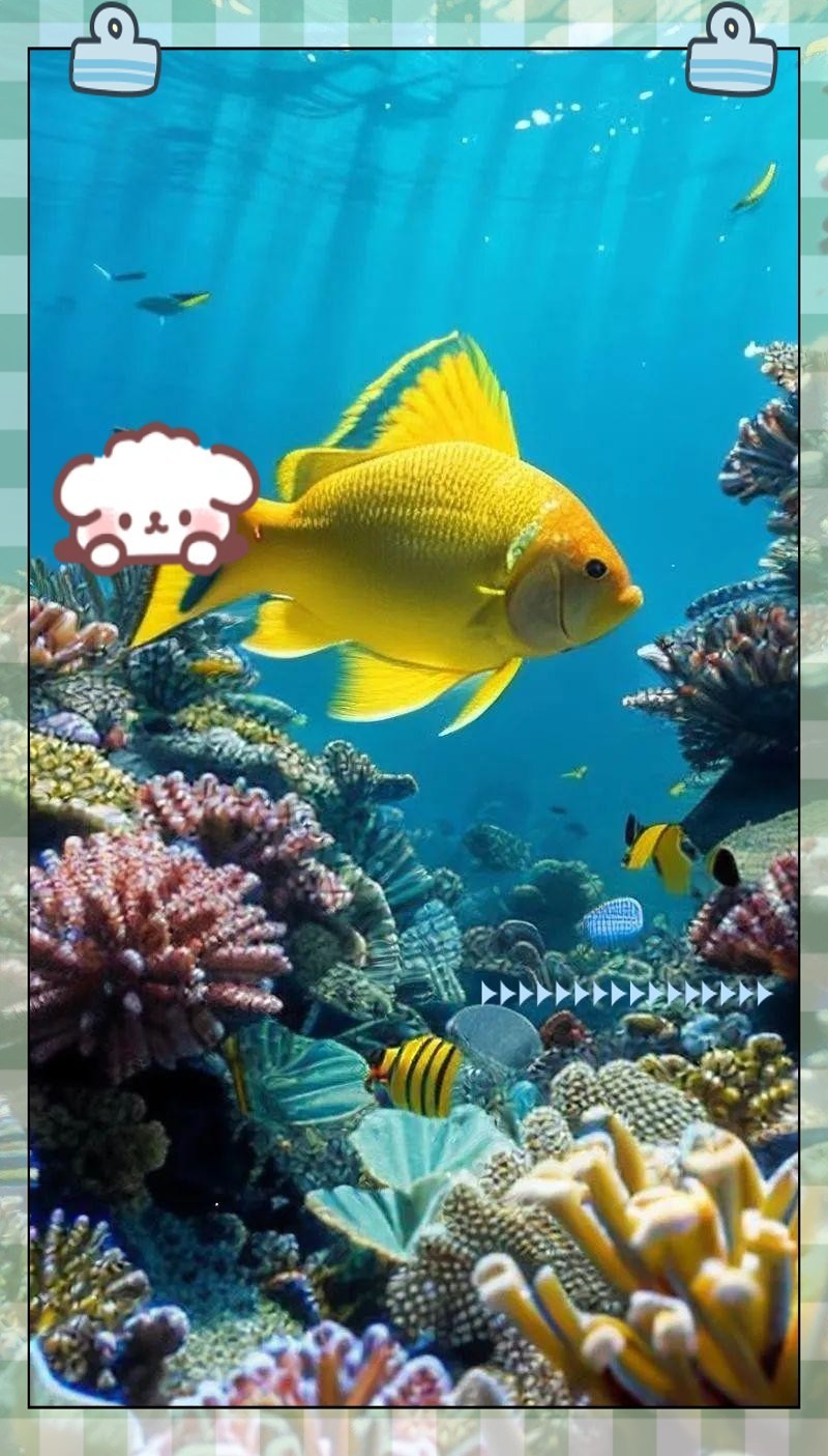 屬龍人家中養魚吉利嗎|關于屬龍人家中養魚的吉兇問題，風水命理領域存在不同觀點