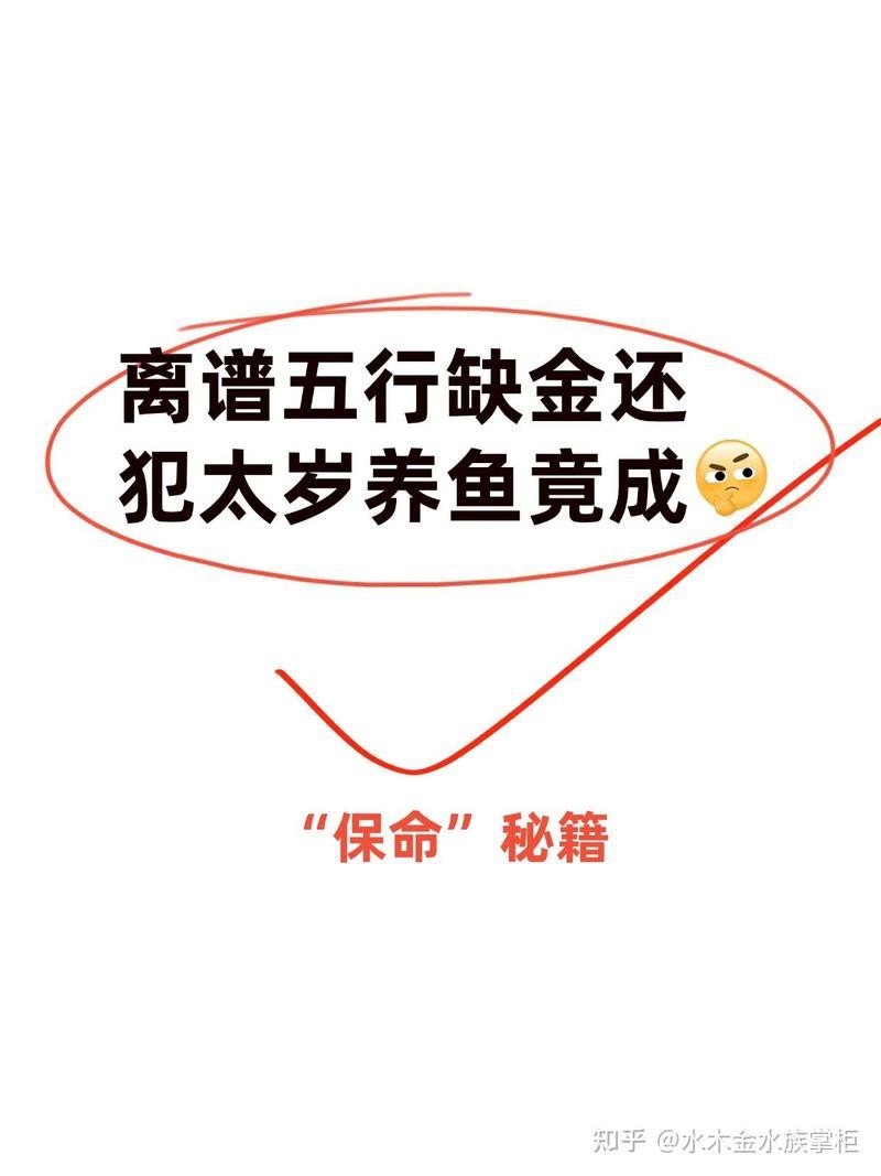 屬龍人家中養魚吉利嗎|關于屬龍人家中養魚的吉兇問題，風水命理領域存在不同觀點