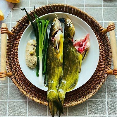 鲴魚為什么那么難吃|鲴魚的烹飪技術