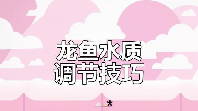 如何調整紅龍魚的水質？|養紅龍魚水質需綜合以下關鍵措施：紅龍魚水質問題解決全攻略