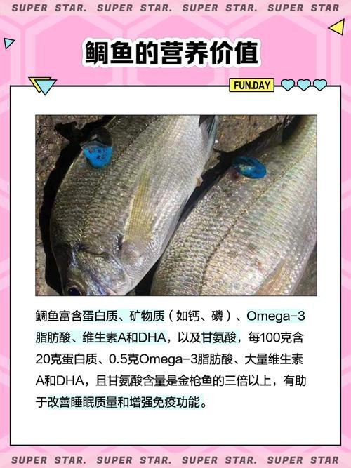 鯛魚圖片|八鮮過海,鯛科黃錫鯛在臺灣養(yǎng)殖30年產(chǎn)銷市場