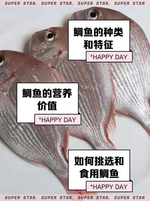 鯛魚圖片|八鮮過海,鯛科黃錫鯛在臺灣養(yǎng)殖30年產(chǎn)銷市場