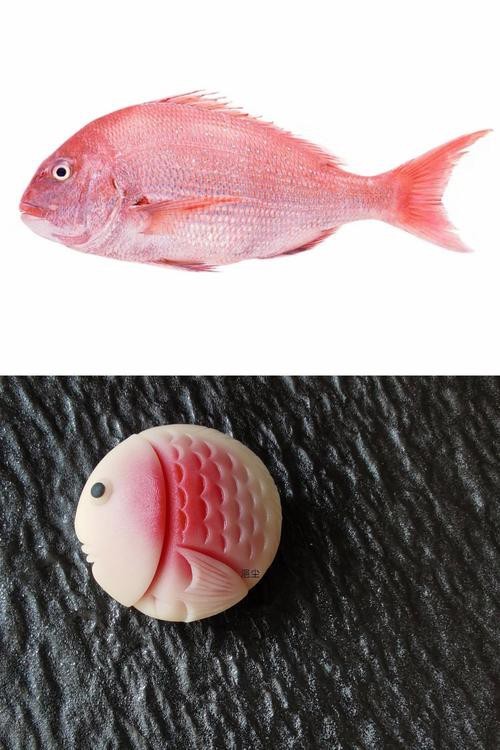 鯛魚圖片|八鮮過海,鯛科黃錫鯛在臺灣養(yǎng)殖30年產(chǎn)銷市場