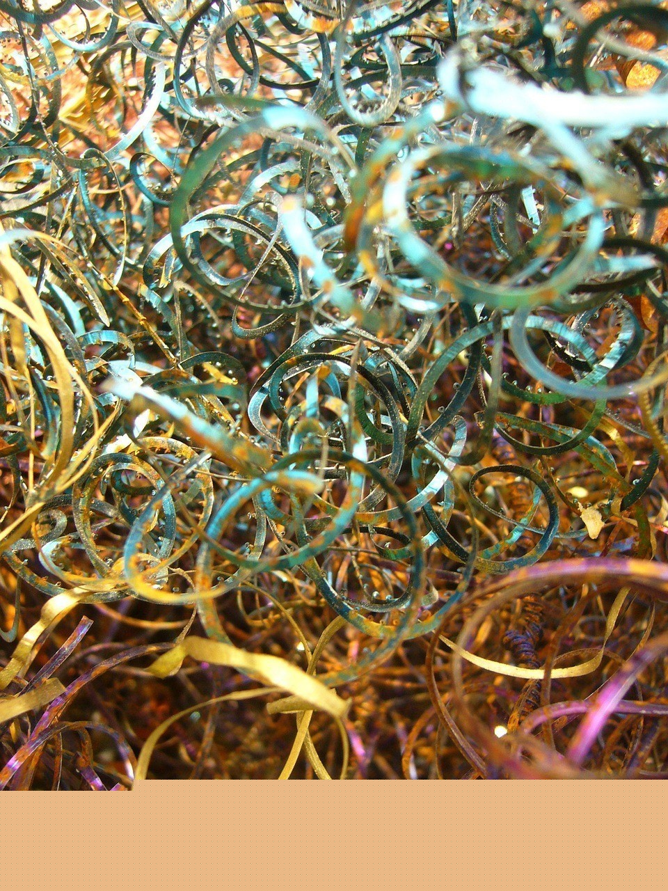 古典過(guò)背和金頭過(guò)背哪個(gè)更稀有？|如何區(qū)分金龍魚(yú)
