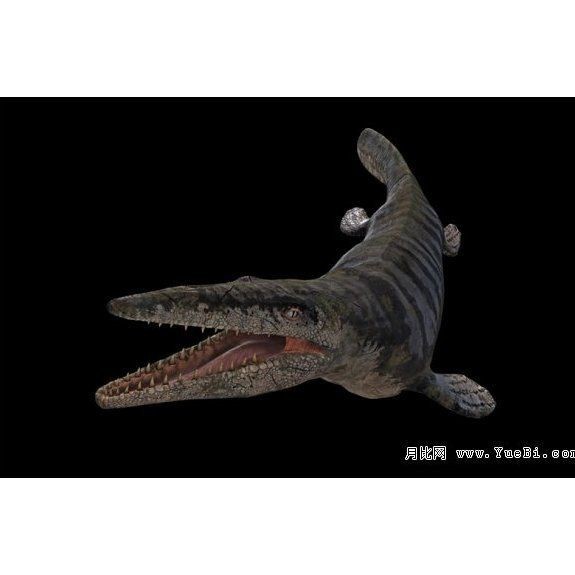 海龍王是什么動(dòng)物|中國(guó)古代海龍王的歷史