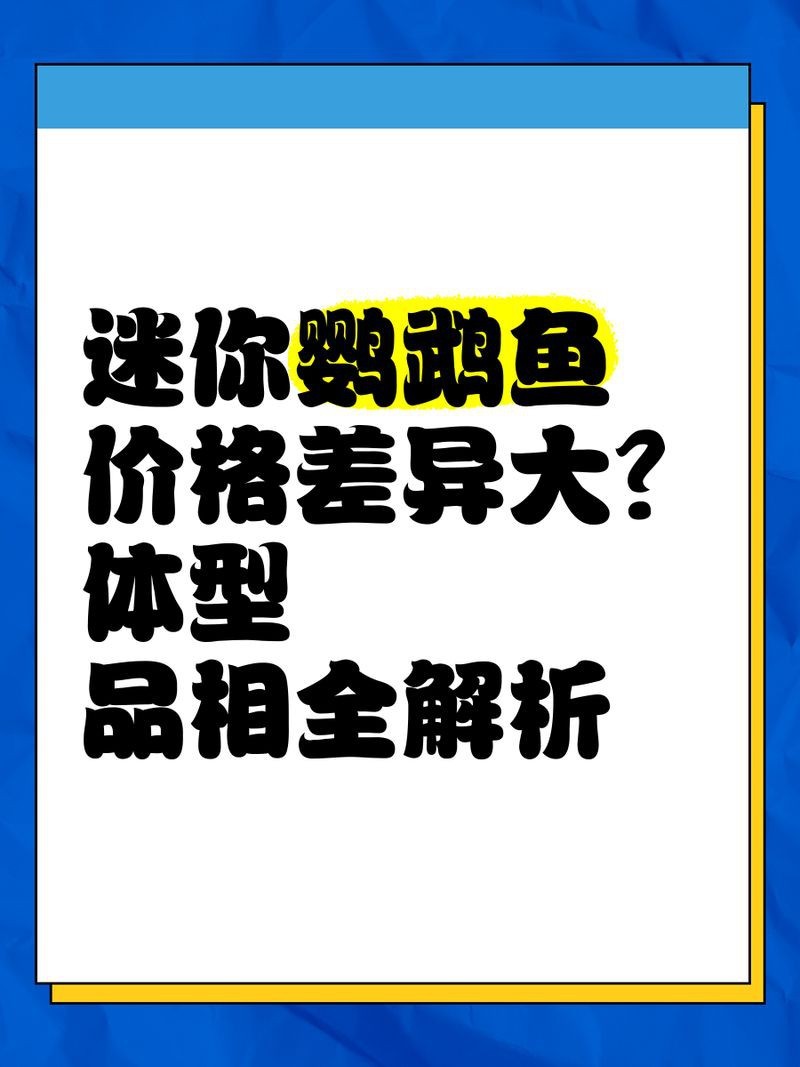 迷你鸚鵡魚最正宗三個品種|三種顏色的迷你鸚鵡魚