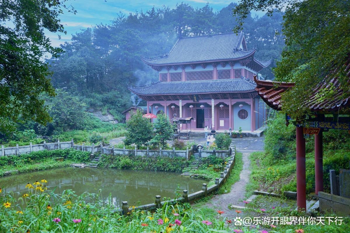 獅子山龍魚店|<strong><mark>江西</mark></strong>宜春安義縣獅子山龍魚店有哪些特色品種